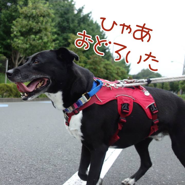 71edaf1f 437f 46de acb6 0c2ab4a6fc80 1661645099792