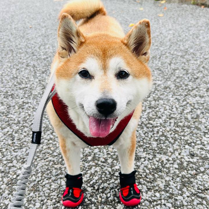 71edcbcd aa6f 44fd b516 0425702921a3 1758606817121