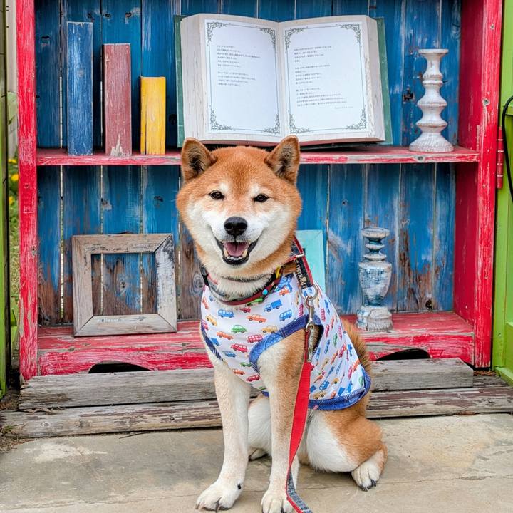 71ede48a 1327 4ddf 93a9 19790d2b1b27 1745407921359