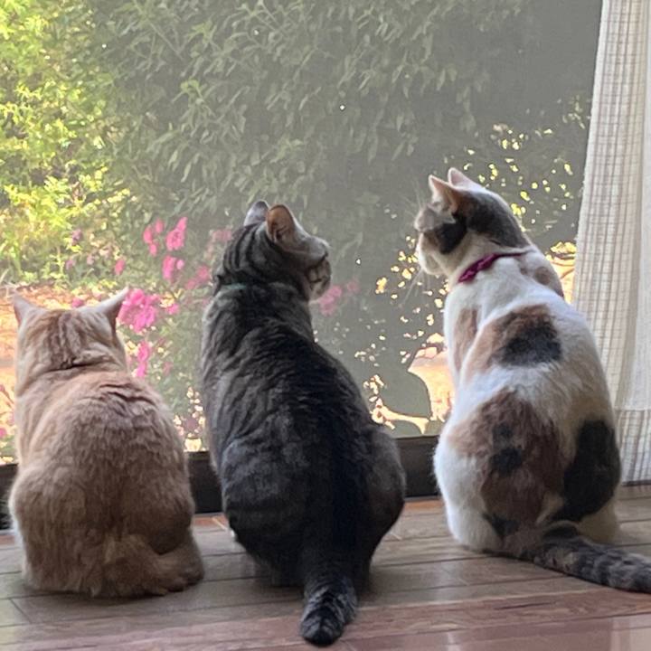 71edf688 c0fd 4676 b734 5bea963c45d3 1684841708432