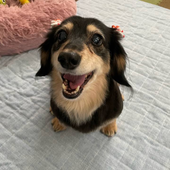 71edf961 8528 4cef 9731 a65c387e0195 1657007784688