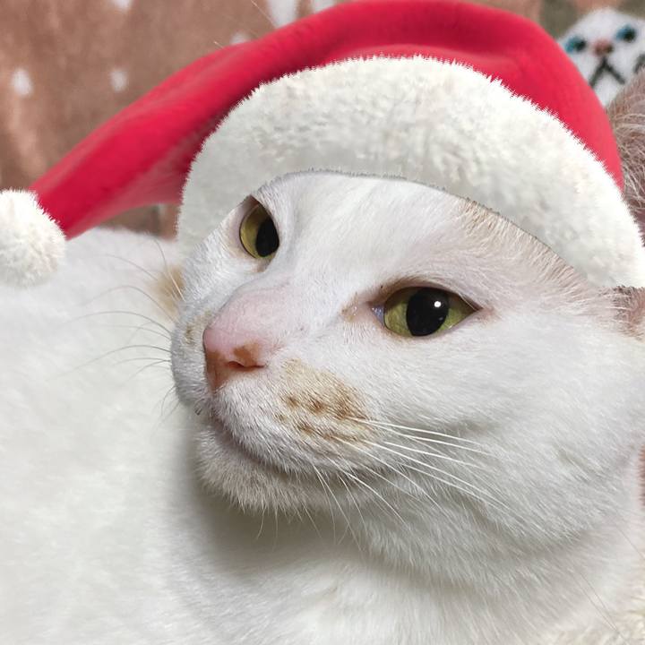 71ee5991 d514 4339 af31 48100f6b38b7 1640436364942