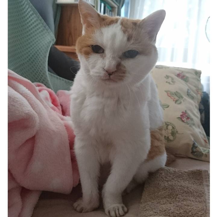 71ee5f77 e42c 43c3 8ad7 e8830f776c6d 1660355467806