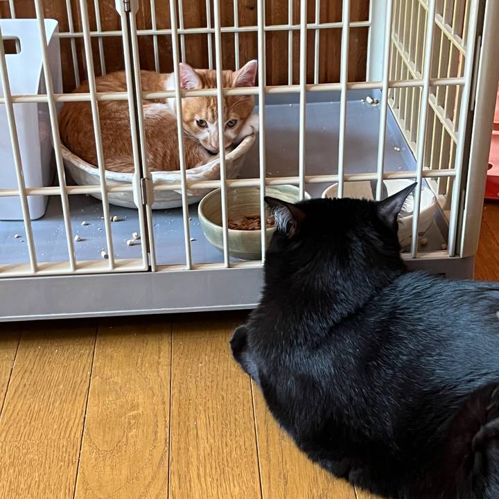 71ee965c 3dc6 4ed5 b2f5 7eb82520a4b9 1664745903388