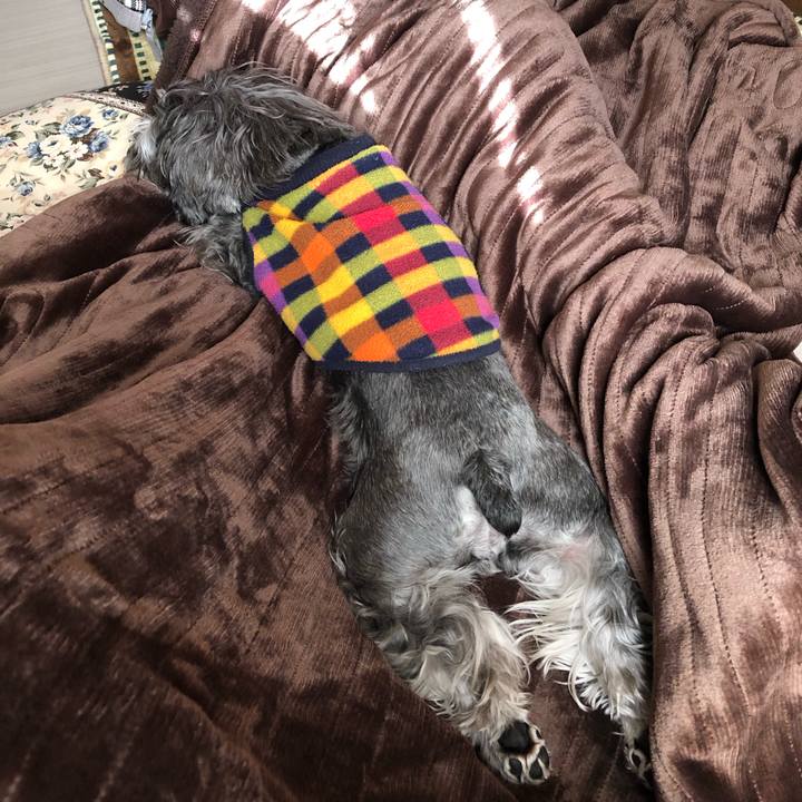 71eeb872 eb1a 432c 97f7 a296dfa313cd 1639807444956