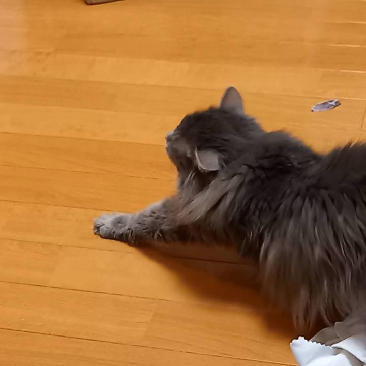 71eefbe8 ec6b 4198 8647 233fc150c4a4 1622021140765