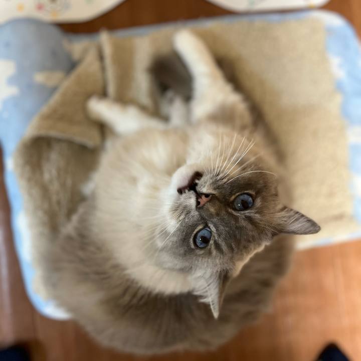 71ef2bea a65b 402a 8d2b 48aaf6c16247 1645456320330