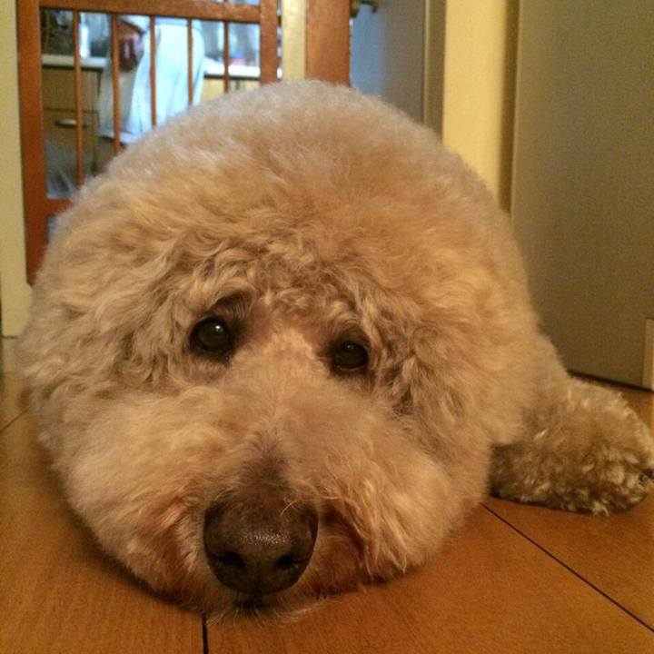 71ef48fe 7f8a 4c9c a9e4 9003e1641993 1539519511230