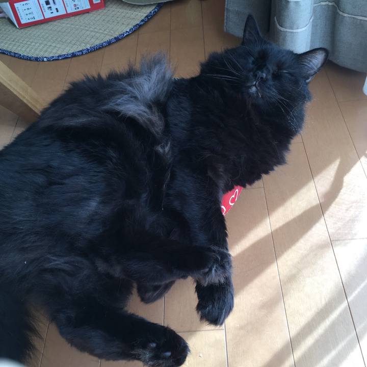 71ef49f1 9c89 4ee9 8e71 e33d21d8712e 1536897219747