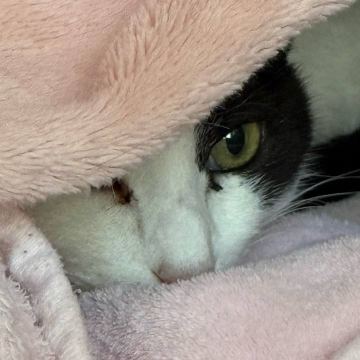 71ef60f1 f193 4228 9836 11c3af85d7bf 1736561469126