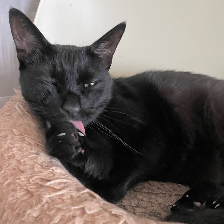 71ef7282 901b 4004 aacc 7c343a367c3e 1688197948181