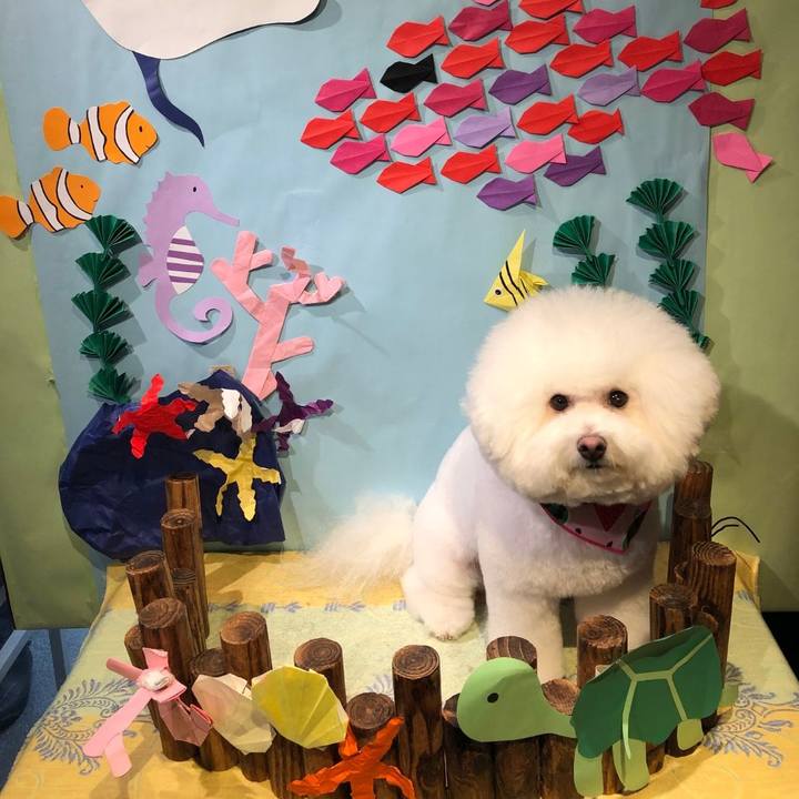 71ef800c 2138 40d5 b1c3 98107fb2ce91 1596343776586