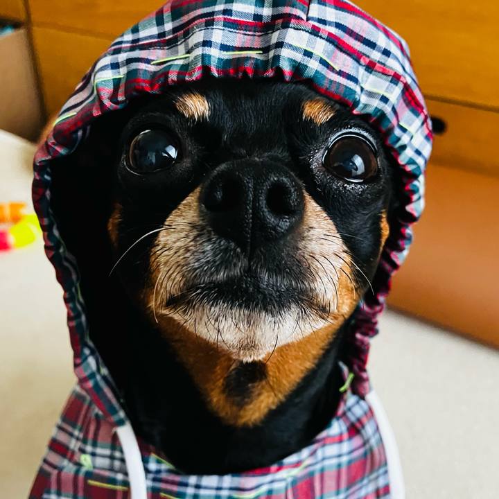 71ef8097 1ae3 4ca1 93c7 f7d24aea98a7 1730123506200