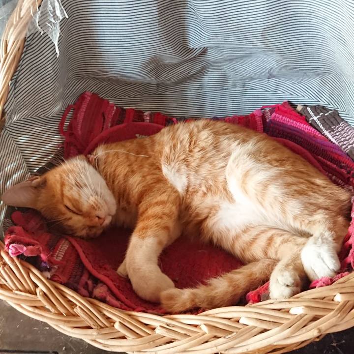 71ef8ce7 f2df 4016 98b4 7ba846f77661 1567908964899