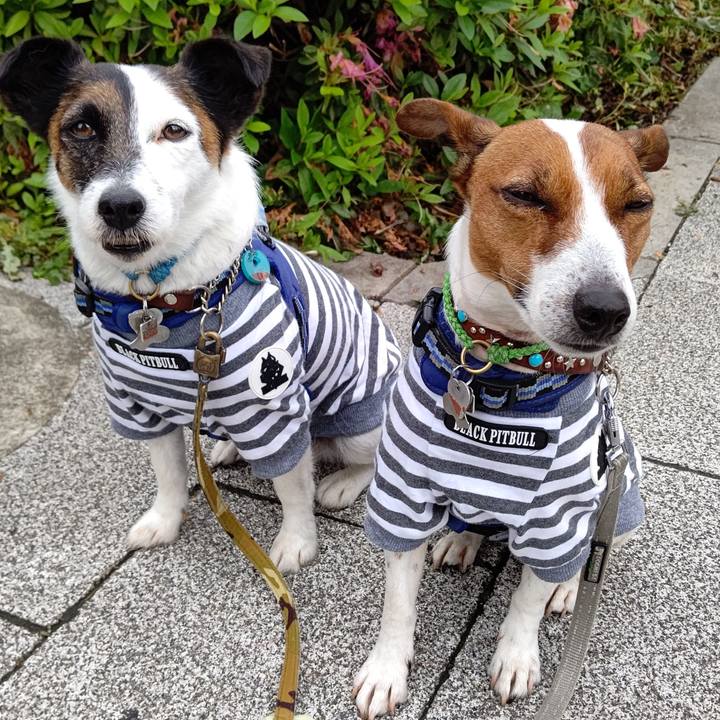 71ef9513 0278 423a bbae f8f8440b2b0b 1652739788080