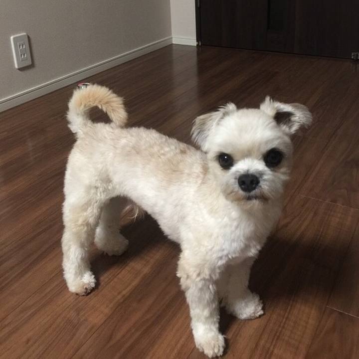 71efe448 1b95 4498 8611 264ba84ad88b 1533556264723