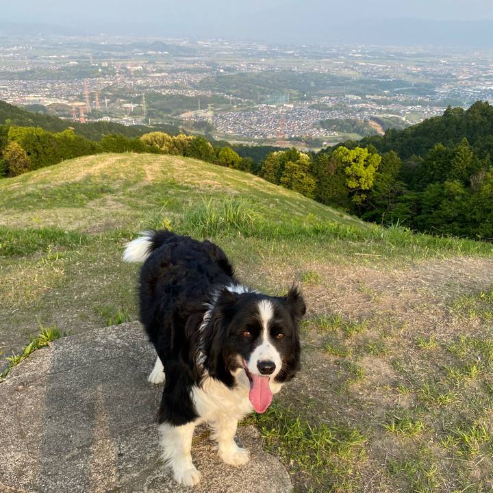 71f0002e 1a81 489b 9b3f fb5c75884039 1651484570990