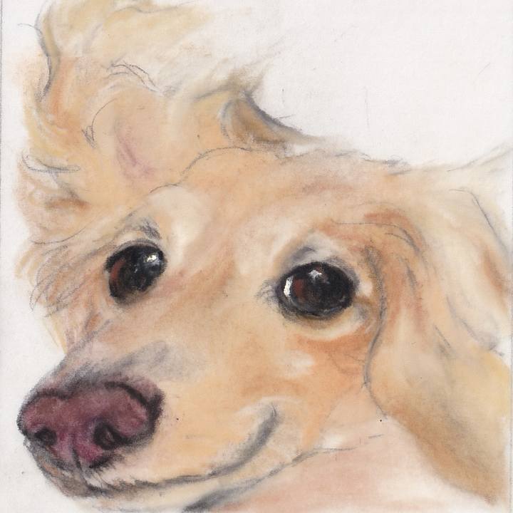 71f02003 06f0 4ec6 ac57 734688cd0c51 1741608068049