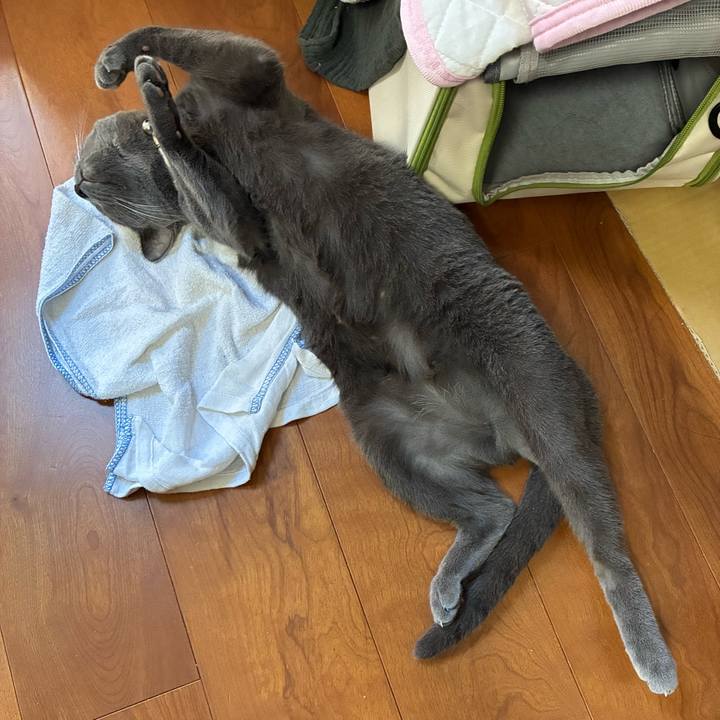 71f0246e bb57 4f42 91f1 08145d76fdb3 1759898578495