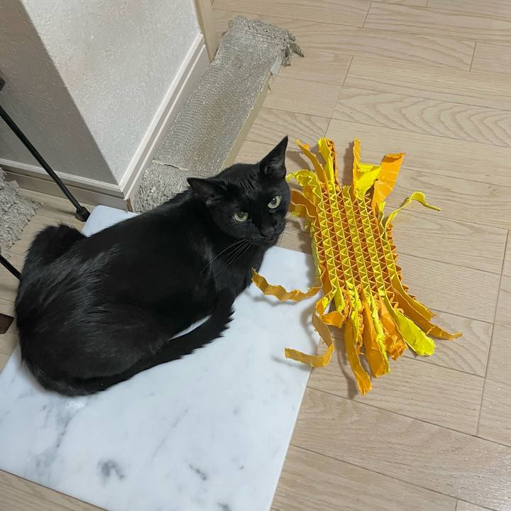 71f02d11 a4ed 4326 a312 d0028a980a1b 1689161913582