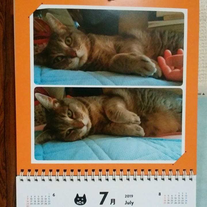 71f0448e 1329 46eb 9db3 ccff1a3f4777 1562037268078