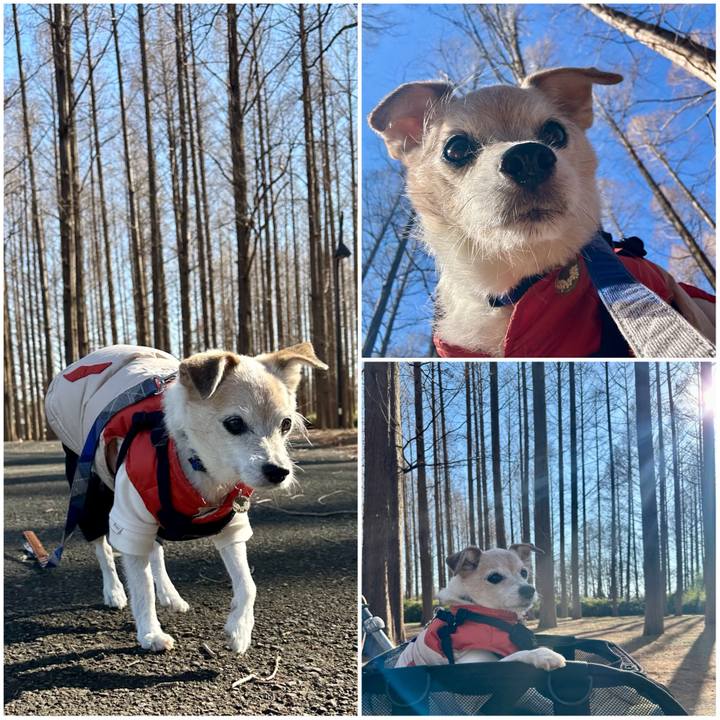 71f04e76 a791 4f4c b0bb fc5672f991d8 1768298110720