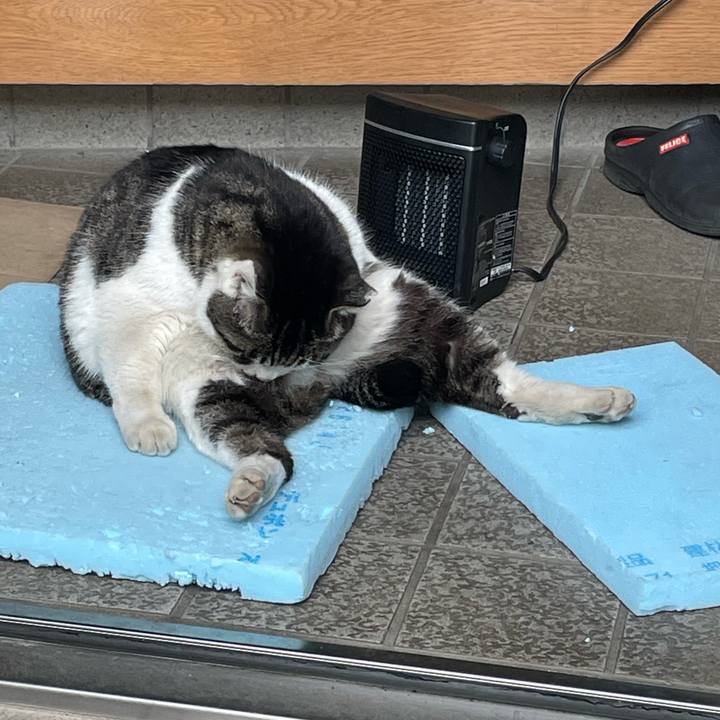 71f05efc dd0c 4a88 8330 223135463ece 1613281246302