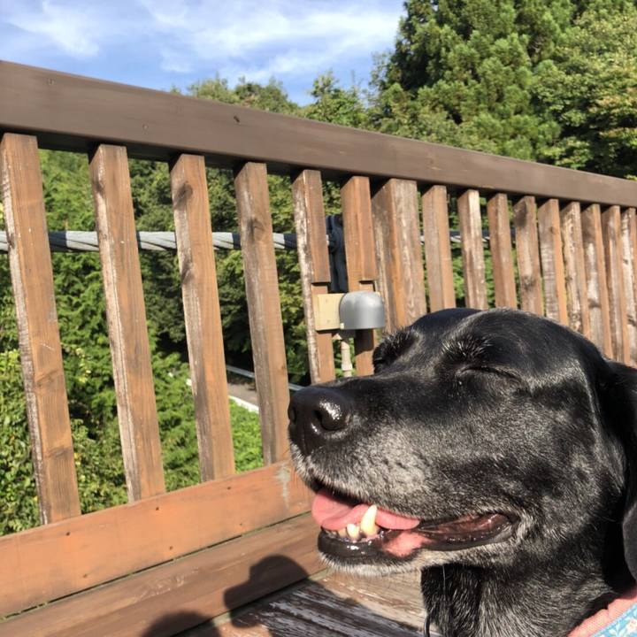 71f0687d 4c82 4017 8af1 4c351f410d32 1534718217290