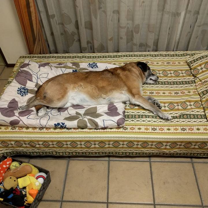 71f06922 4d94 4f3e 8a34 2a99ebb8a0f1 1551744290086