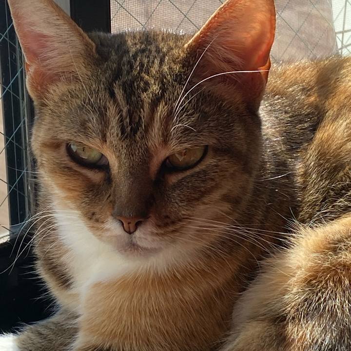 71f0b6be 5923 4413 8966 f591a61f50fc 1613927824890