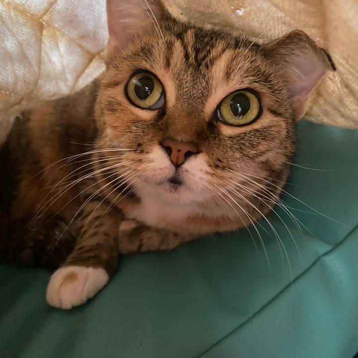 71f0c2c8 7b11 4ebc ba54 38ee9adbd004 1638157539653