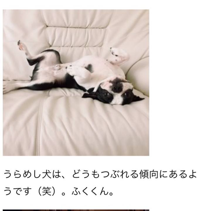 71f0d9ff 51e5 4116 9d20 8781782f68f6 1513327714028