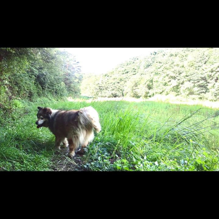 71f0e403 9898 4149 915c 349fb9eb46ea 1585377657664