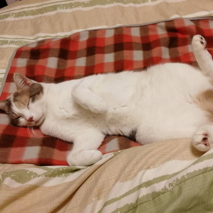 71f0efc4 1b3b 4926 b1d0 9a8a678da8df 1578709932618