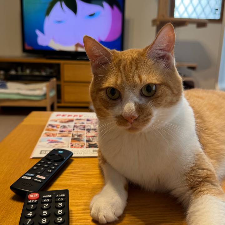 71f0f1b5 3a58 4414 8a48 cee8d6592e75 1756626927169