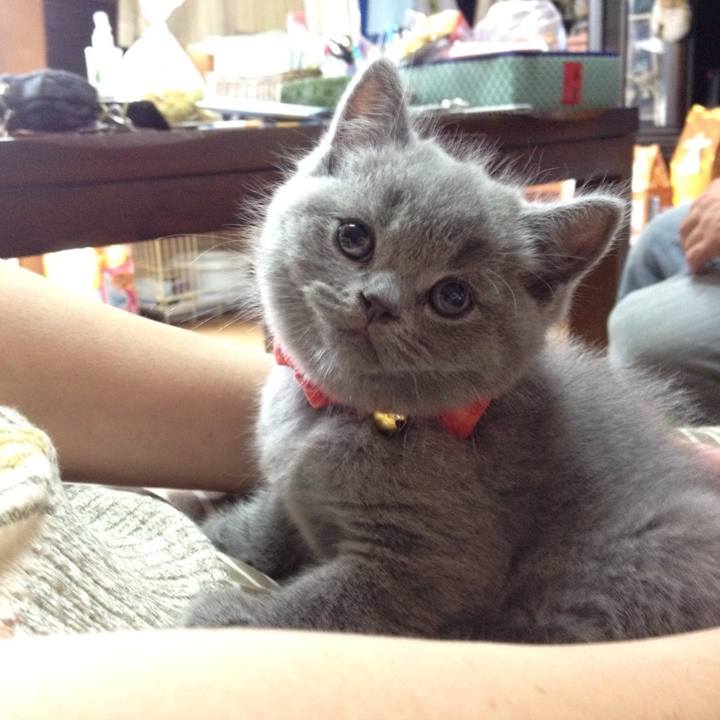 71f11511 4045 41a4 8fff f4358305baee 1773481254987