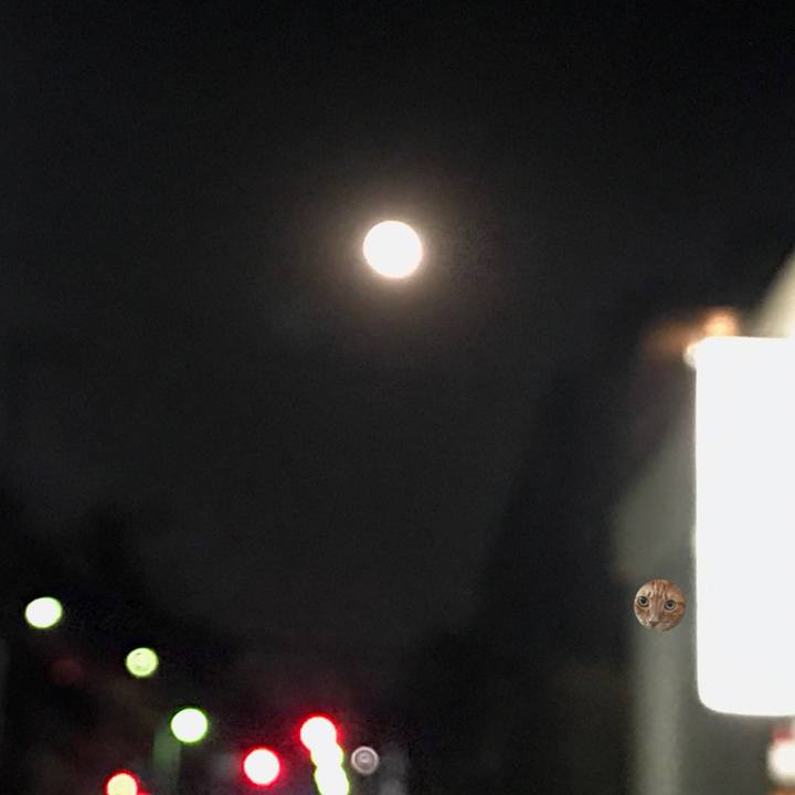 71f15643 ba11 408f 882c 2c1dc889009e 1548064671961