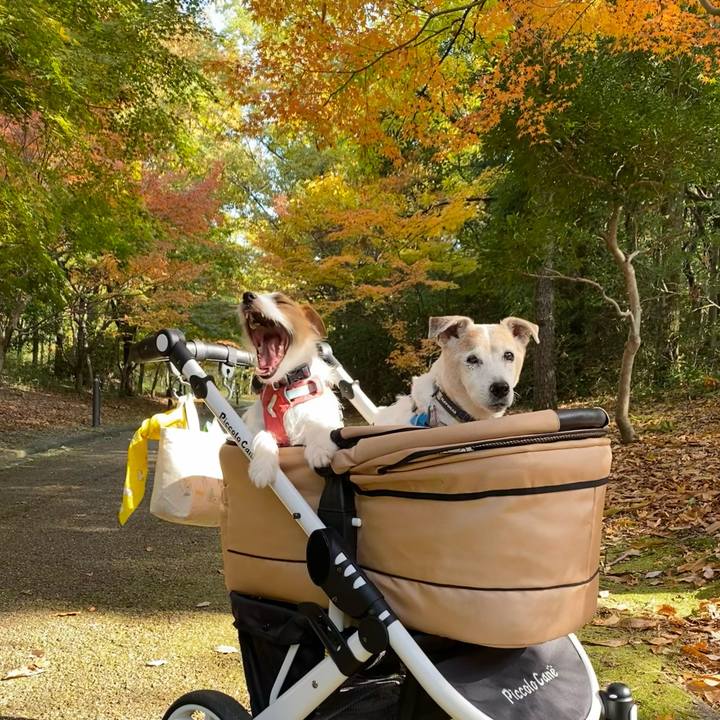 71f1668d c76a 4708 864c 587ef0f6912a 1700721550598