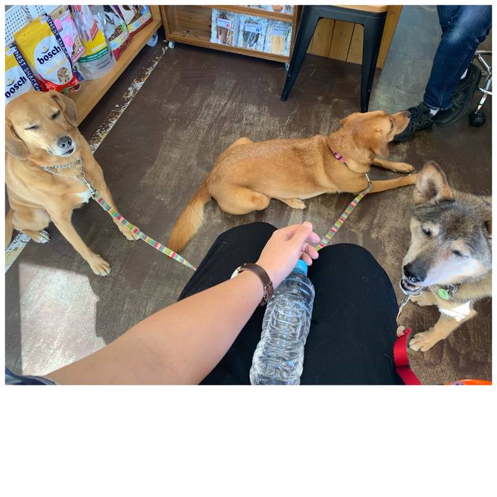 71f16e36 0536 4867 87ee a70a525f8d2a 1570251972659