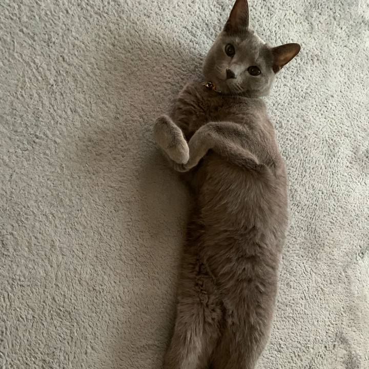 71f17664 272a 441f 8cc2 0dbd373743e0 1625050022069