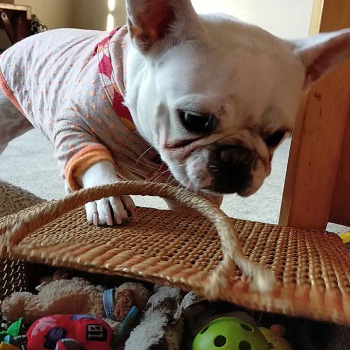 71f1766e 026f 4158 ad8a c2ad45a8de3a 1638700924827