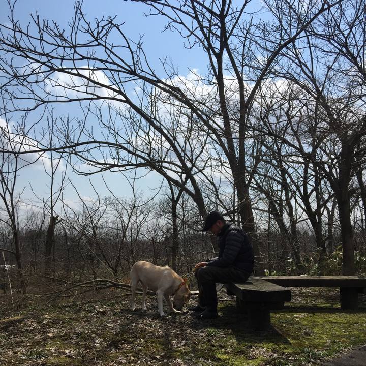 71f1846b b536 491f 8c48 6e5d3e455369 1548212681524