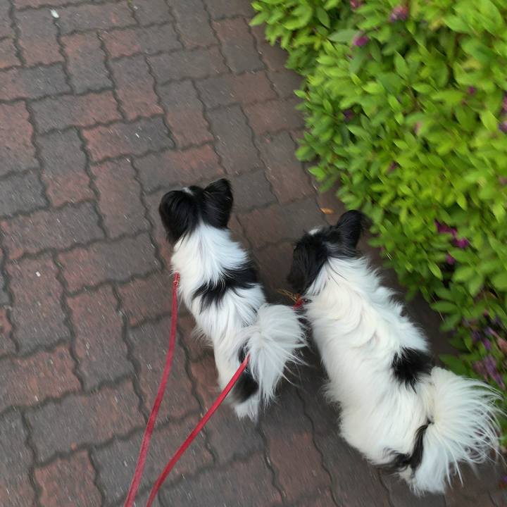 71f1985f 3948 48f1 95a9 9422c6b28c23 1558089845402