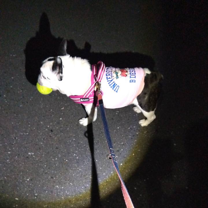 71f19d23 9357 4c05 9b4e 901a850b8768 1717850094211