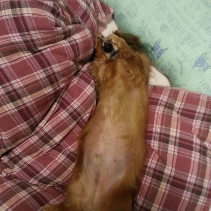 71f1c292 9f61 4485 a055 e7028a595e33 1521109076245