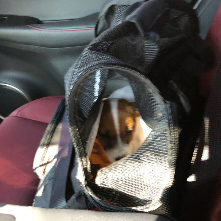 71f1e888 fef2 4ef5 9561 ddafb98e3f0c 1512267133453