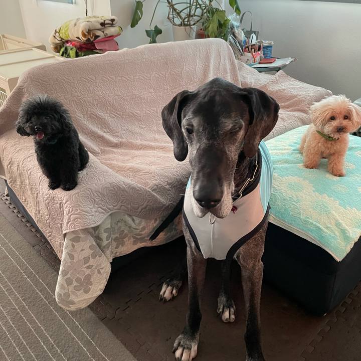 71f1f07d 3494 4208 b344 226e5fa26920 1626735326362