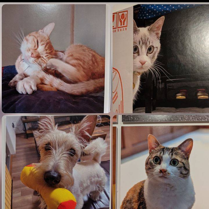 71f204a0 f4d4 41b3 a28a 2cd8aaa23673 1592016576231