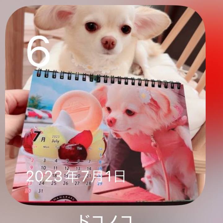 71f22ec0 4134 4214 951c 42ffbf9a29aa 1720255148975