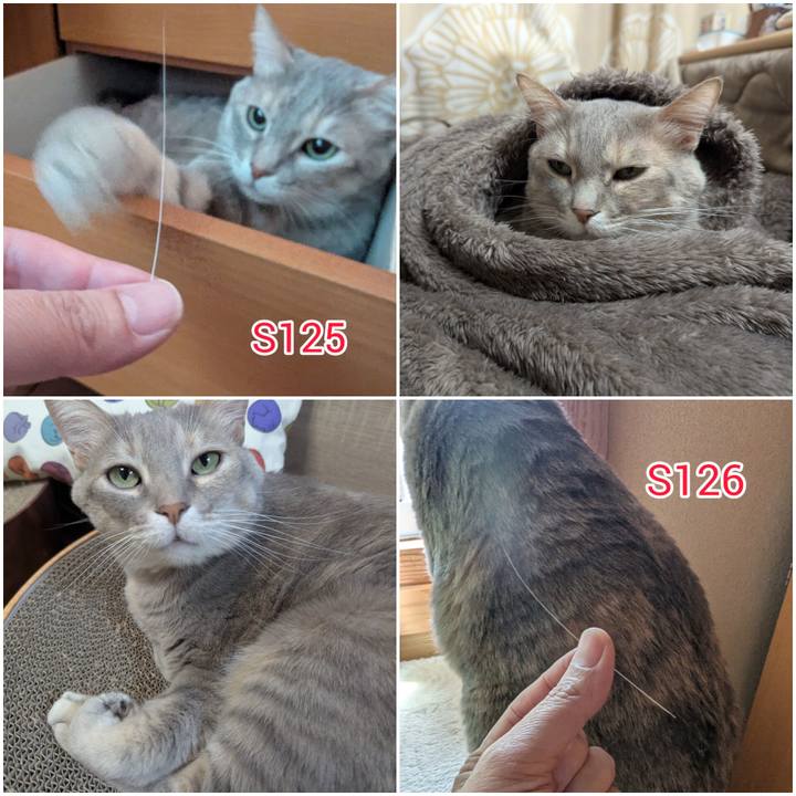 71f23050 5959 49d7 88ef 7605606cc755 1742885249113